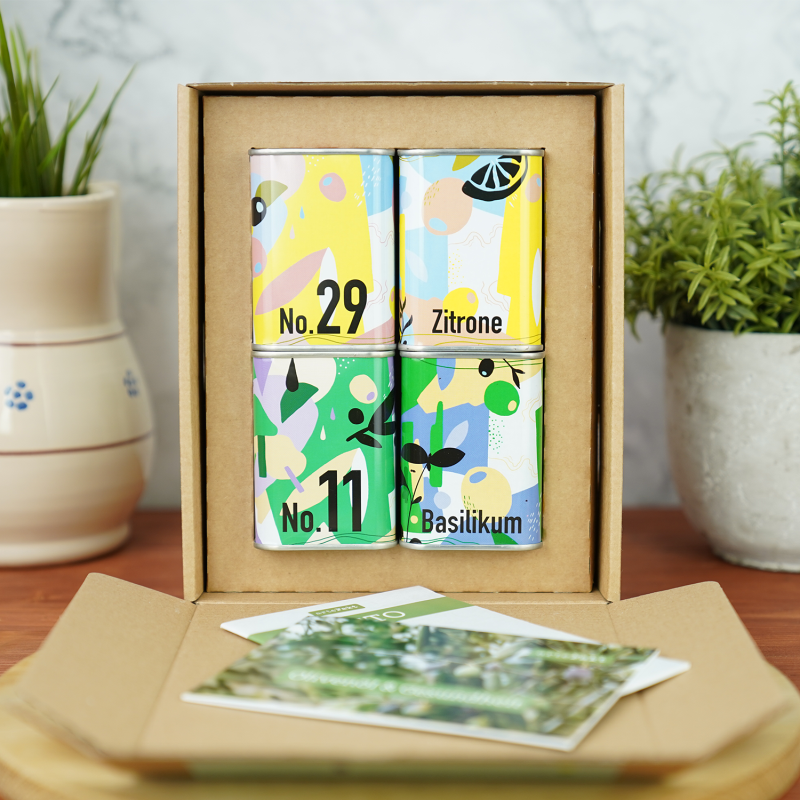 Schnellstarter-Box, kbA