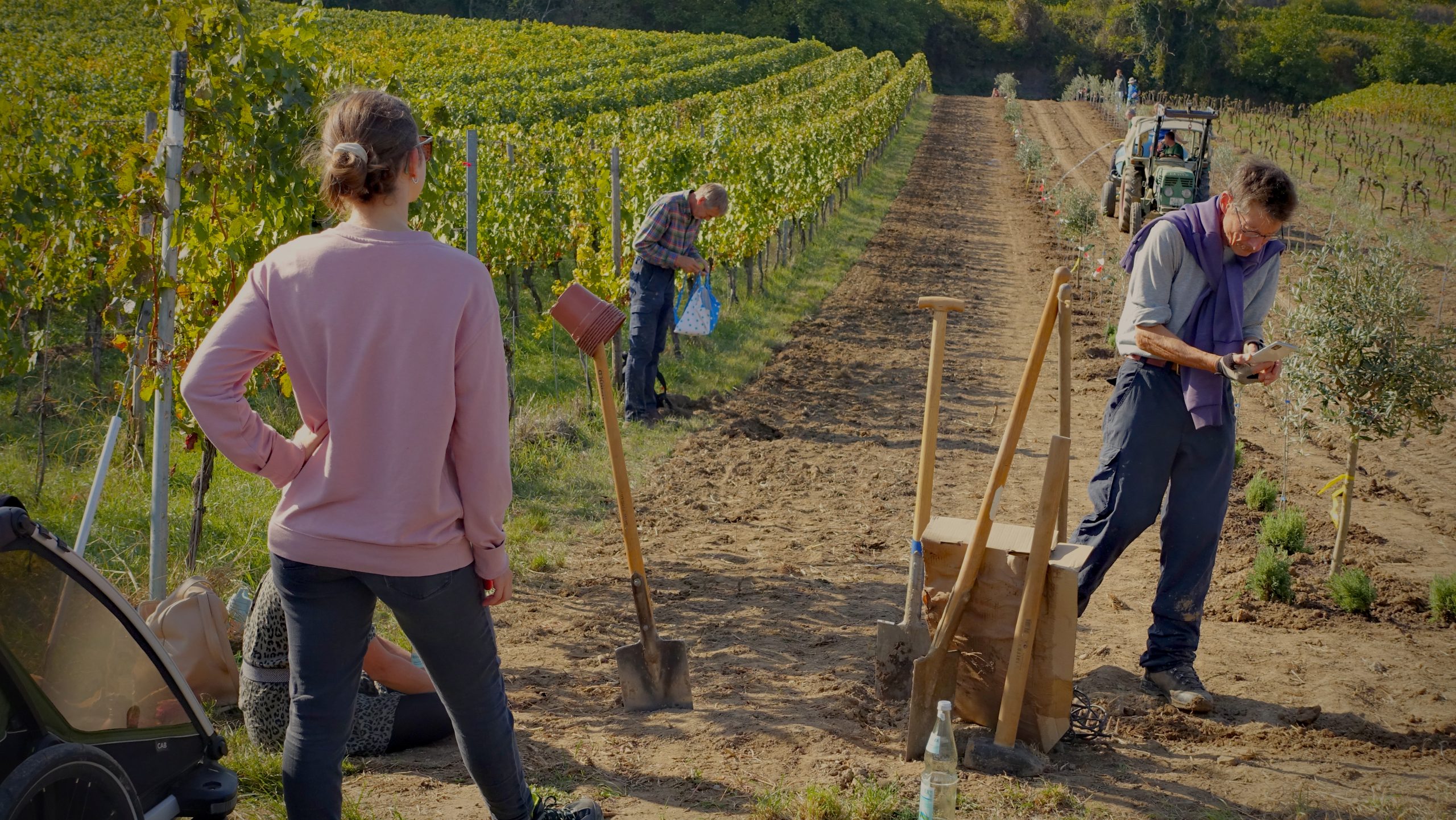 Helfende beim Pflanztag auf dem Feld mit Schaufeln und Arbeitsgeräten.