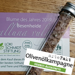 Herbstauskünfte20_Seite4