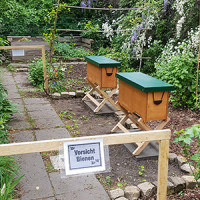 Die Bienenboxen im Schulgarten