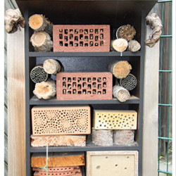 Verlosung der Insektenhotels