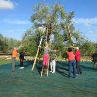 Katalonien (in Koop. Kalonien Reisen)