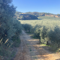 Apulien/Kalabrien (in Koop. Die Zeit Reisen)