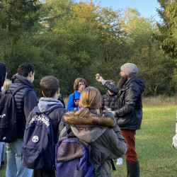 Moore schützen-Moore verstehen