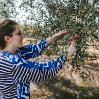 Ernte-Camp 2022 in Apulien