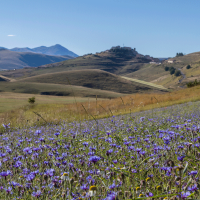 Umbrien – Oliven & Hülsenfrüchte