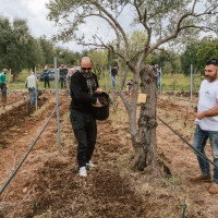 Klima-Camp 2024 in Apulien - Reisebericht von Oliver Hoischen