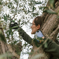 Klima-Camp 2024 in Apulien