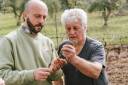 Giuseppe Lombardi und Conrad Blöcke probieren wilden Spargel der auf dem Olivenhain wächst.